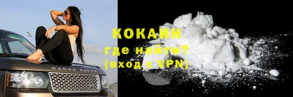 дживик Магас