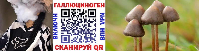 Галлюциногенные грибы MAGIC MUSHROOMS Торжок